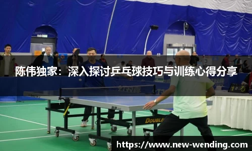 陈伟独家：深入探讨乒乓球技巧与训练心得分享